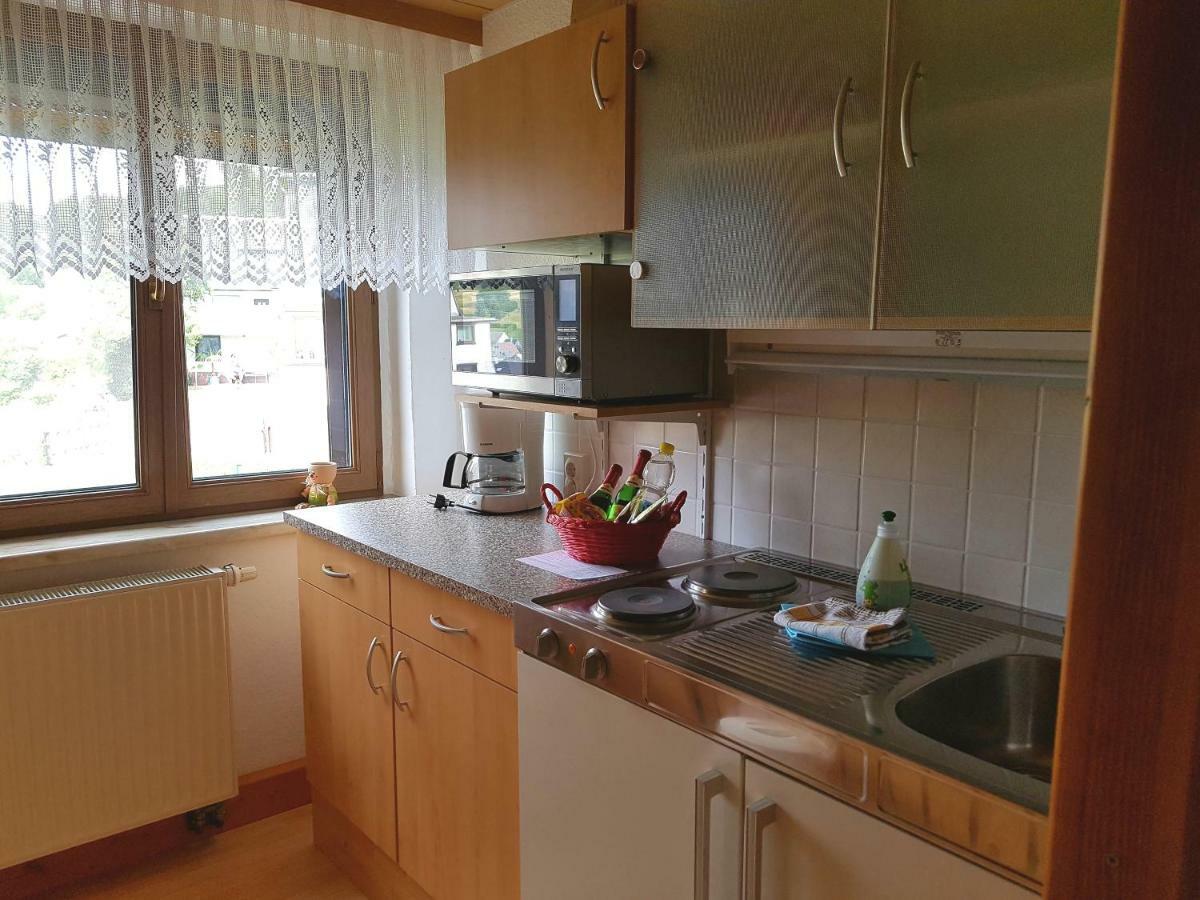 Ferienwohnung Berndt Oberweißbach Zewnętrze zdjęcie